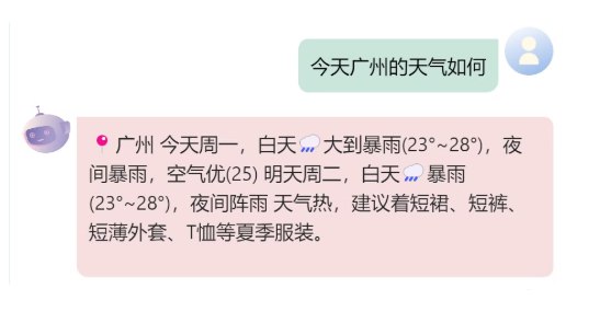 Function Call Support